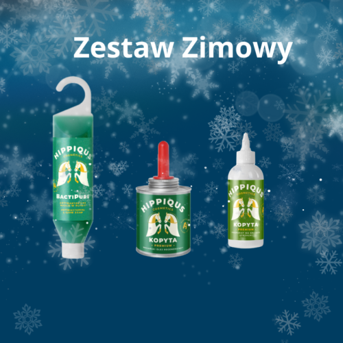 zestawzimowy