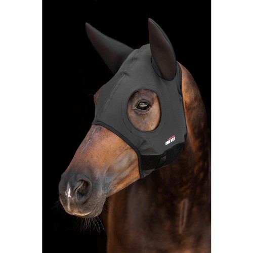 22131.jpg