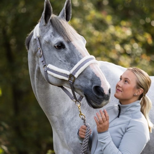 JACKSON LYSEKIL HALTER2.jpg